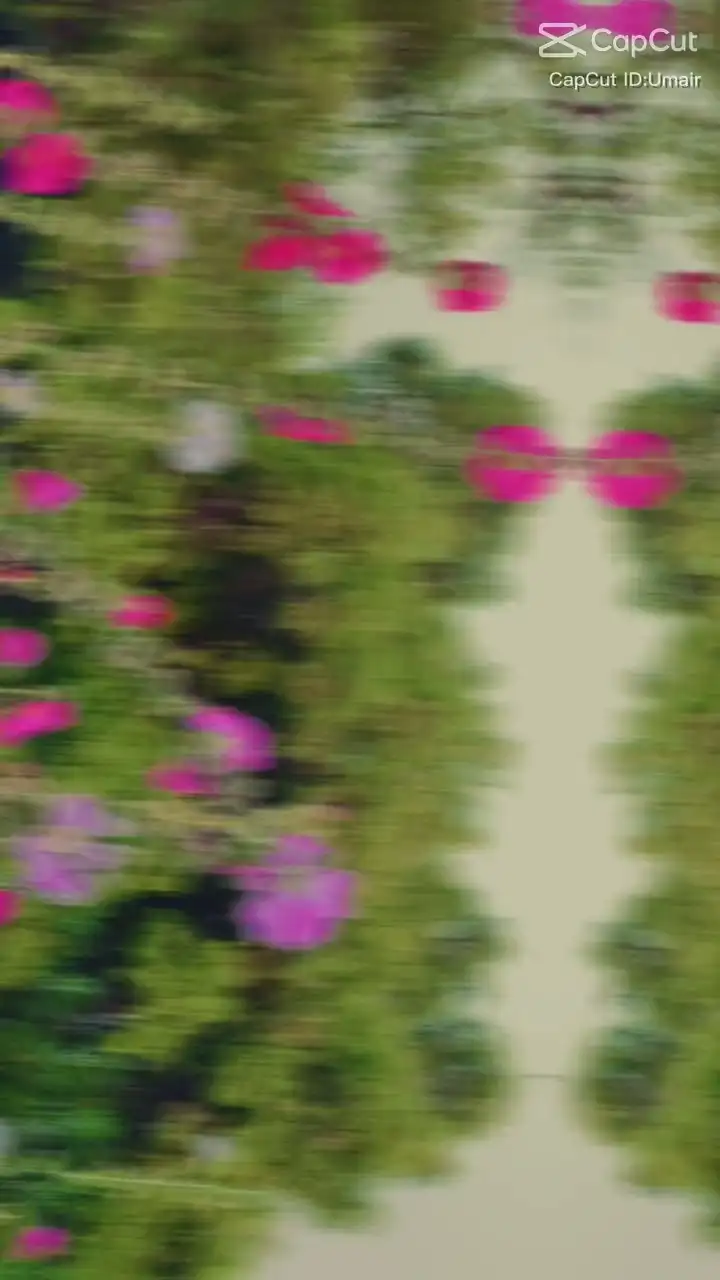 Alfazon Mitraz Cinematic Hindi Songs Capcut Template `