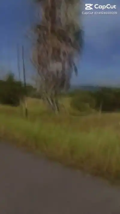 Latest Healing Thailand CapCut Template Link