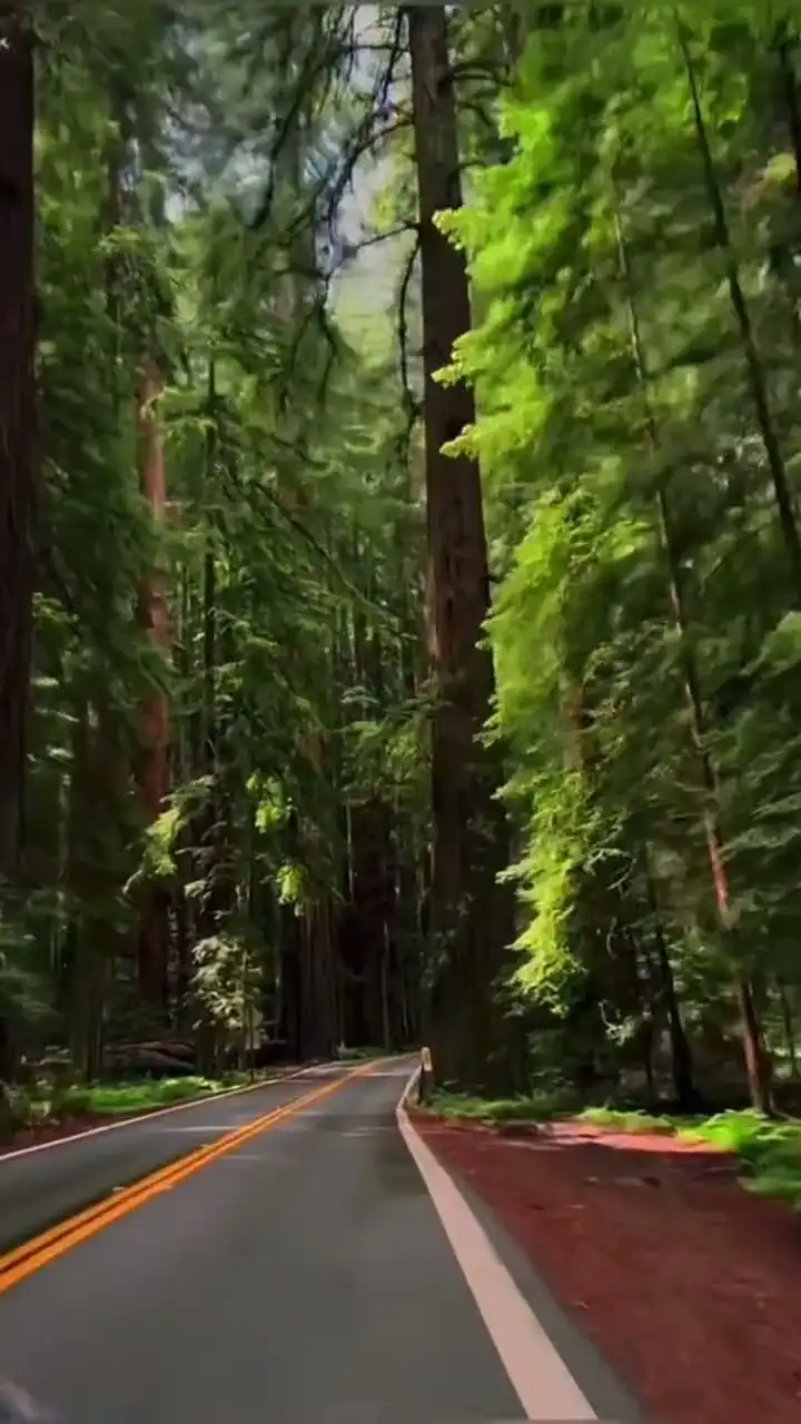 Smooth Slow Motion Template For Instagram