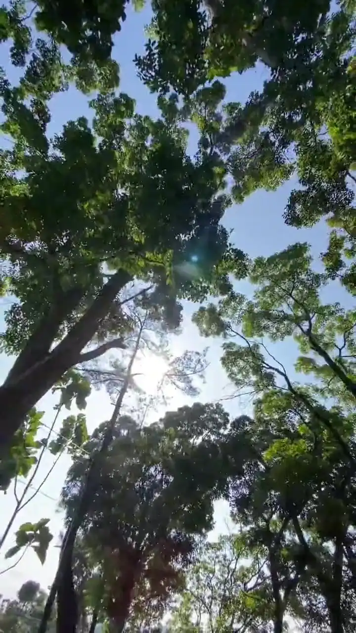 Speed Ramp Kece Capcut Template Free