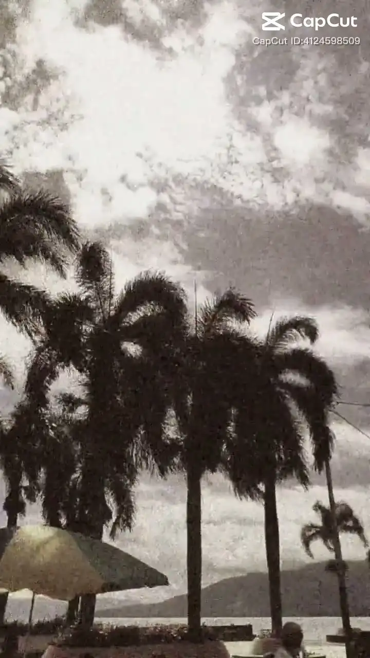 Viral New Healing Thailand CapCut Template